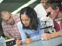 新威斯敏斯特学校 