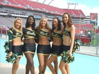 南佛罗里达大学