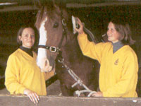 威灵顿女子中学